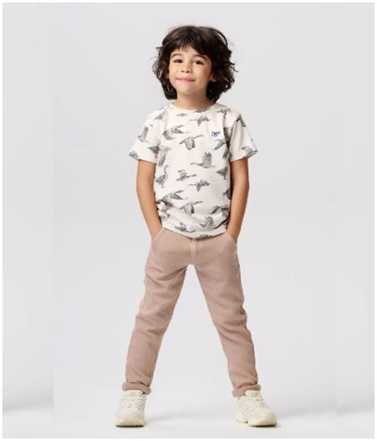 Boy's Dixon Chinos - Rabbit