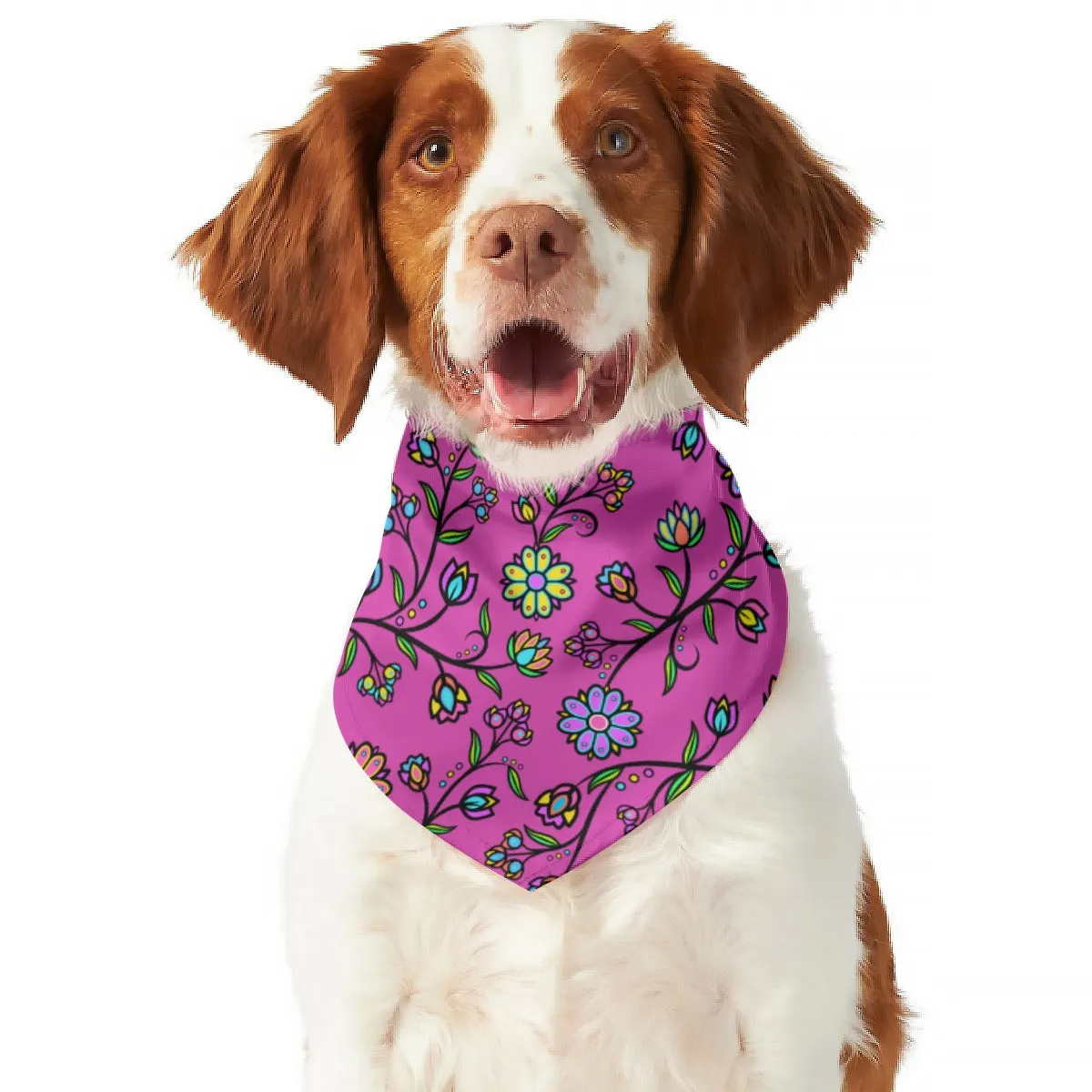 Cosmic Whisper Pastel Passion Pet's Scarf