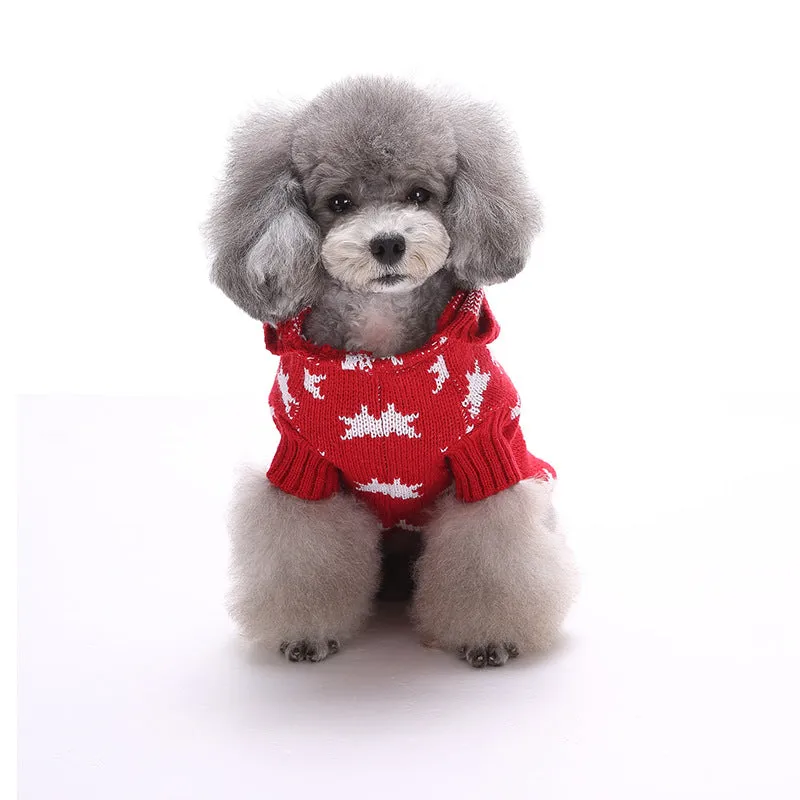 Dog Star Knit Hoodie