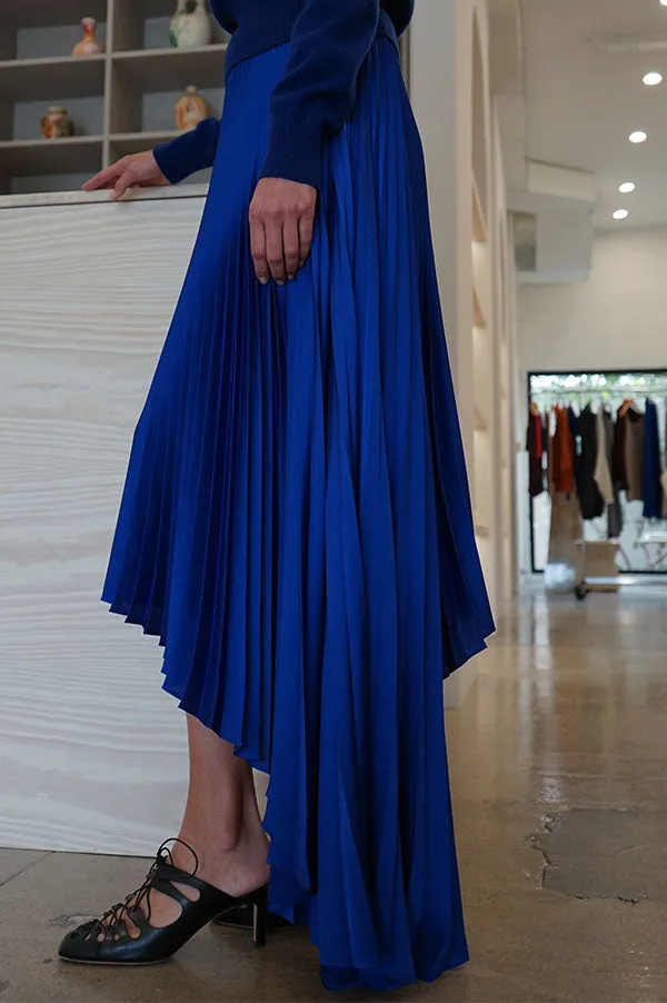 Fibonacci Elipse Pleated Skirt