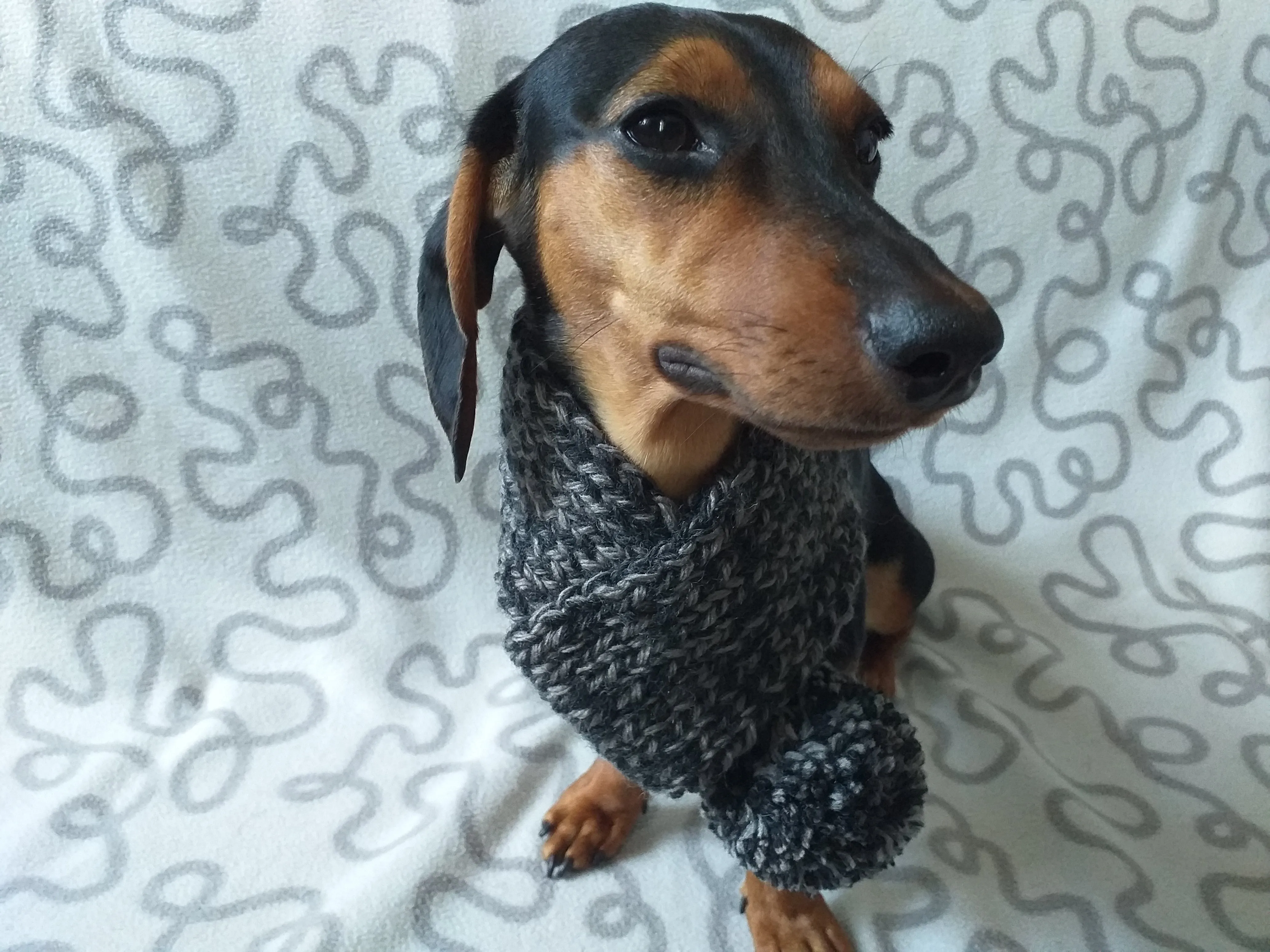 Handknitted woolen christmas dog scarf with pom poms, knitted dog neck warmer, dachshund and snood dog scarf with pom poms