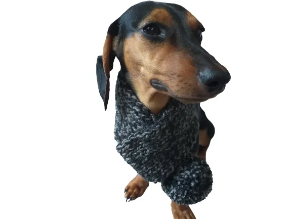 Handknitted woolen christmas dog scarf with pom poms, knitted dog neck warmer, dachshund and snood dog scarf with pom poms