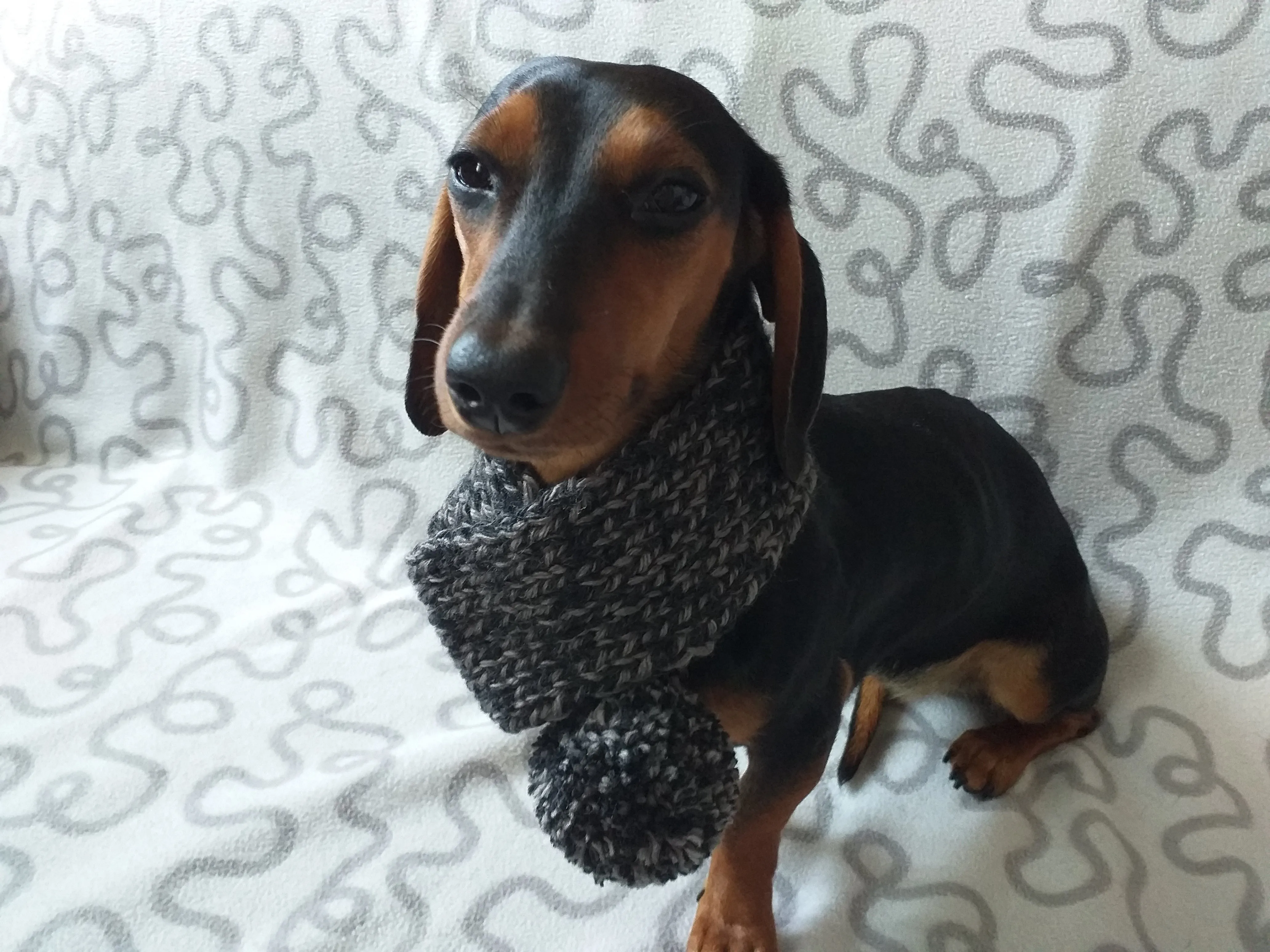 Handknitted woolen christmas dog scarf with pom poms, knitted dog neck warmer, dachshund and snood dog scarf with pom poms